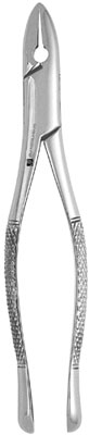 100-50JJ-Standard Extracting Forceps #1