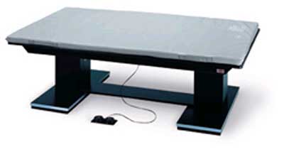 9441HSM-Dual Lift Powermatic Platform For Removable Mat