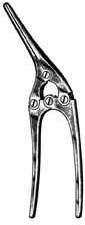 Payr Pylorous Clamp, Baby, 6in