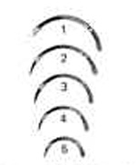 Lane Cleft Palate, 1/2 Circle Edge, #1