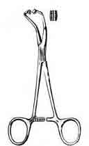 Comedone Extractor, Double Ended Lancet and Cap 6