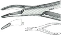 Blumenthal Oral Surgery Rongeurs, 7in, Beaks at 30 Degree Angle