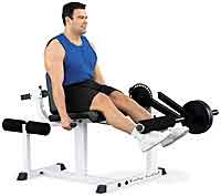 Pro Club Line Leg Extension and Curl Machine