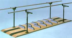 Patented Ambulation and Mobility Platform