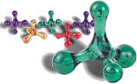 Jacknobber II Massage Tool