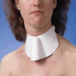 ShowerShield with Rubber Collar