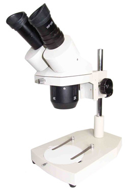Paragon Stereo Pole Mount (no light)