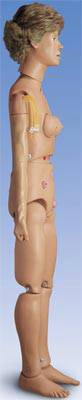 Clinical Nursing Kid Manikin