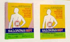 MMSAL102-mse-Salonpas Hot Capsicum Patch