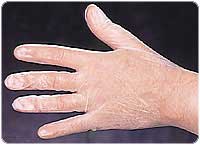 MMSHM102-mse-Exam Gloves Vinyl
