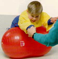MMSPO103-40CM-mse-Physio Roll Ball - 40 cm