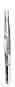 Splinter Forceps, Plain, 3-1/2 in