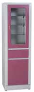 19in Storage and Medical Supplies Cabinet