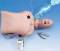 Adult Interactive Arrhythmia Simulator Manikin