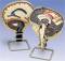 Cerebrospinal Fluid Circulation Anatomical Brain Model