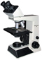Binocular Microscopes