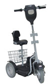 Stand N Ride Electric Scooter