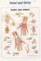 202ANAMM-Anatomical Charts
