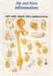 Anatomical Charts