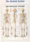 Anatomical Charts
