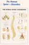 212ANAMM-Anatomical Charts