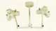 OutPatient II Minor Surgical Lights