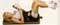201ALGMM-Homestretch Lumbar Traction Unit