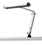 STE-155 with Clamp Light