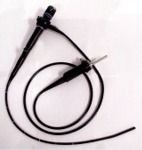 Olympus BF-P20-Olympus BF-P20 Bronchoscope