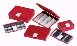 Needle Counters Double Magnet 20 ct