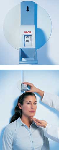 Wall-Mounted Measuring Tape