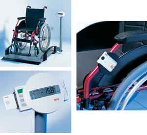 Largest Weighing Platform Scale