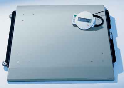 Multifunctional Electronic Flat Scale w/ Remote Display Plus SmartCard