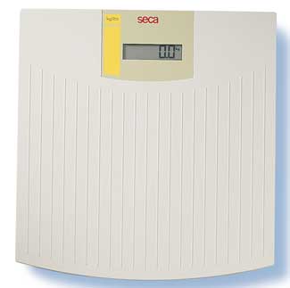 Electronic Personal Scale