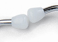 White Hard Ear Tips, for Riester Stethoscopes