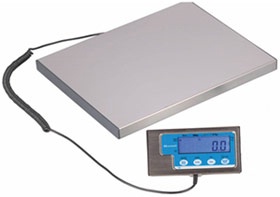 Dietary Scale w/ Remote Display