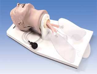 Standard Intubation Manikin Heads